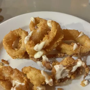 Fried Calamari