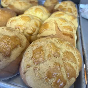 Pineapple Custard Buns