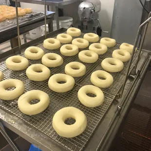 a tray of doughnuts on a conveyor belt