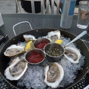 Fresh oysters