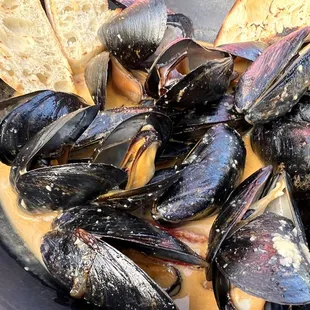 Mussels