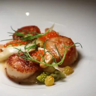 Sea Scallops @tiffhuangry