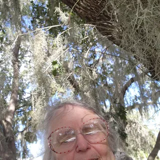 Karen S.