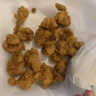 Gator bites