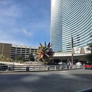 View (coming from Aria)