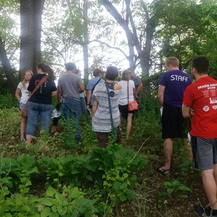 Edible plant workshop