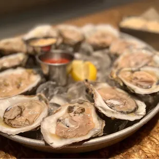 Oysters