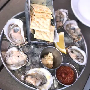 Half dozen East Coast Oysters on the Half Shell