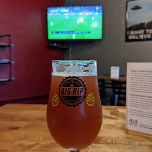 We Are the Weirdos, Mister