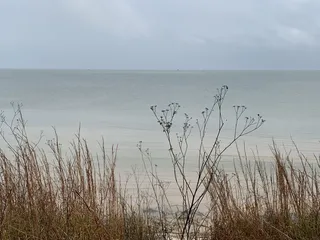Aransas National Wildlife Refuge