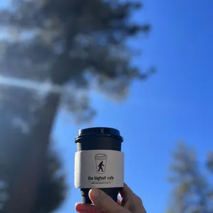 Among the pines with a great cup of coffee.