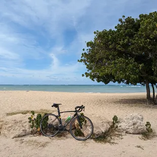 Beautiful beach view along the ride that I never would have seen otherwise.