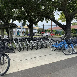 Bikes available to rent- road bikes in grey, cruisers in blue.