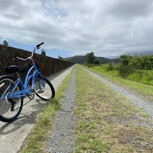Cruiser in action- Kawainui Marsh is 15 min away by bike!