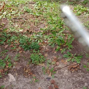 Outside door somebody's patio view.  Wow, luxurious.