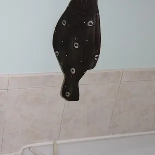 Flounder Carving from the Bird Store