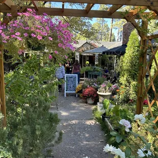 Patio picture in September.