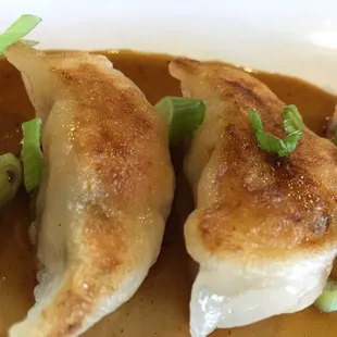 Shrimp potstickers