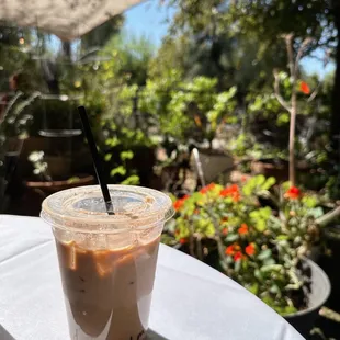 a cup of iced coffee