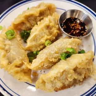 Fried Mandu