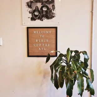 a potted plant in front of a sign