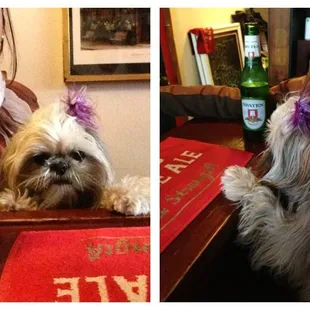 Pet friendly bars are the best! We&apos;ll be coming back again!