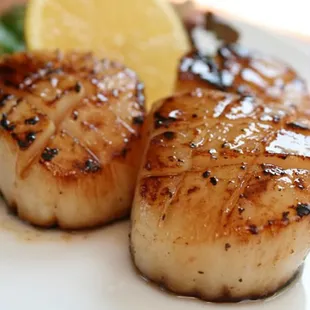 grilled fish, seafood, grilled seafood, fish, food