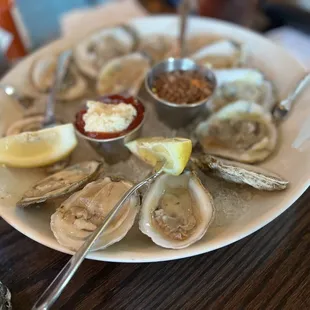 Oysters