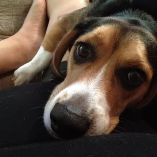 Jenna M.