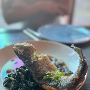 Rainbow Trout