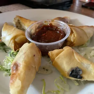 Cheese Steak Spring Rolls ($9) homemade ketchup