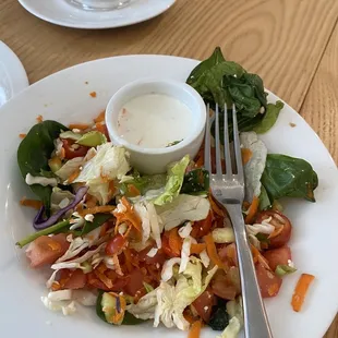 Chicken Walnut " Salad