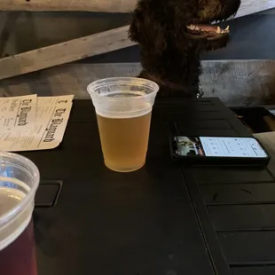 No, our dog isn't drinking but this thing they called a table was not the business!