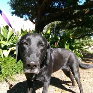 Bella says who you looking at?