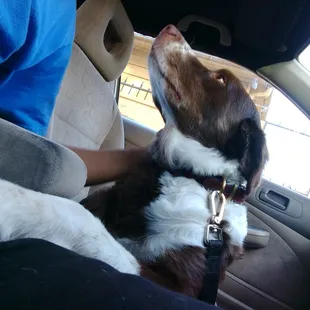 Bentley ready to roll!