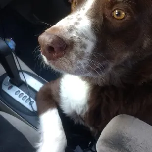 Let's go for a ride to the park!