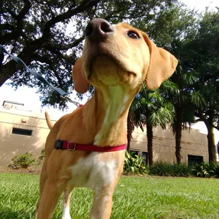 Charlie. Looking forward to the weekend!