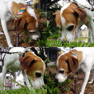 Benjamin Riley. The nose knows!