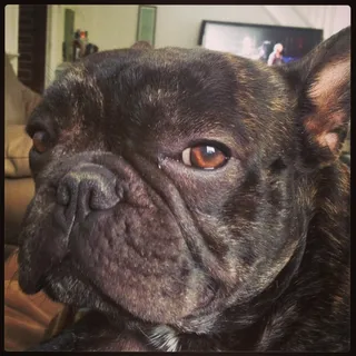 MJ B.