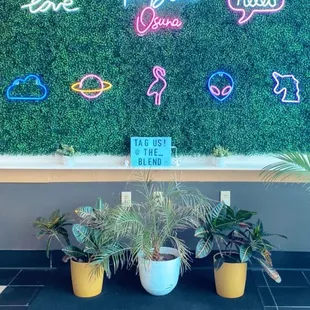 Entrance / Interior Design