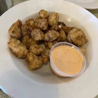 Gator Bites