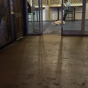 Outdoor patio