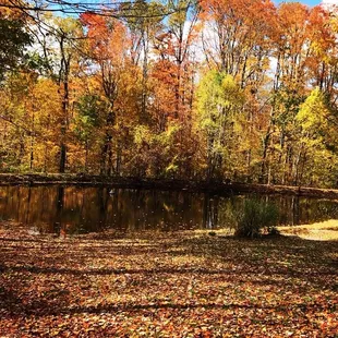 Blind Squirrel Winery In Fall