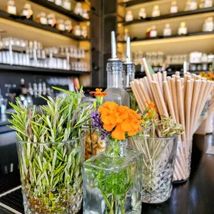 The Block Distilling Co.