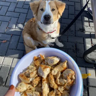 K-9 Chicken