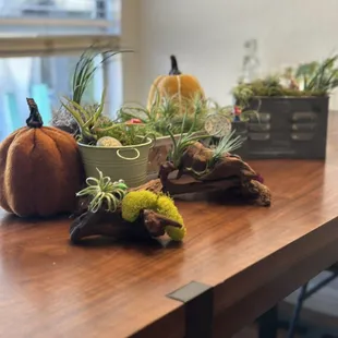 Plant Classes the next one is in February. Follow on IG for details.