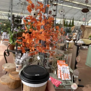 Rose and hazelnut latte