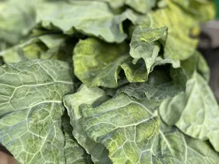 Bright Light Catering