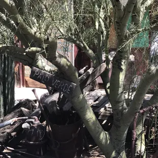 Signs to name trees and bushes