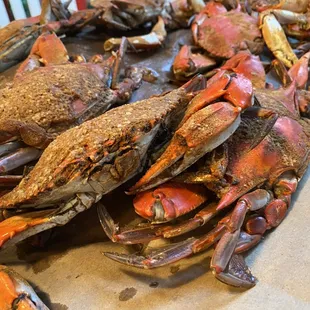 Blue crabs  steamed and served